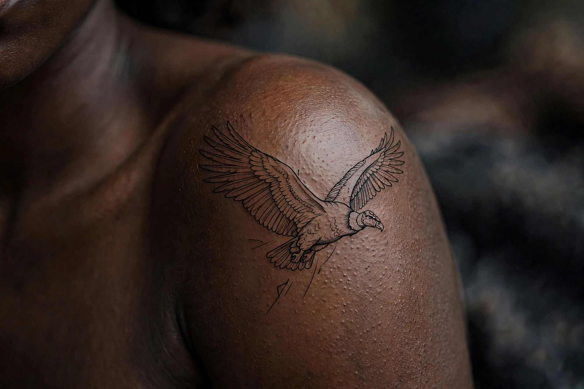 Andean condor with white ruff tattoo in majestic scale