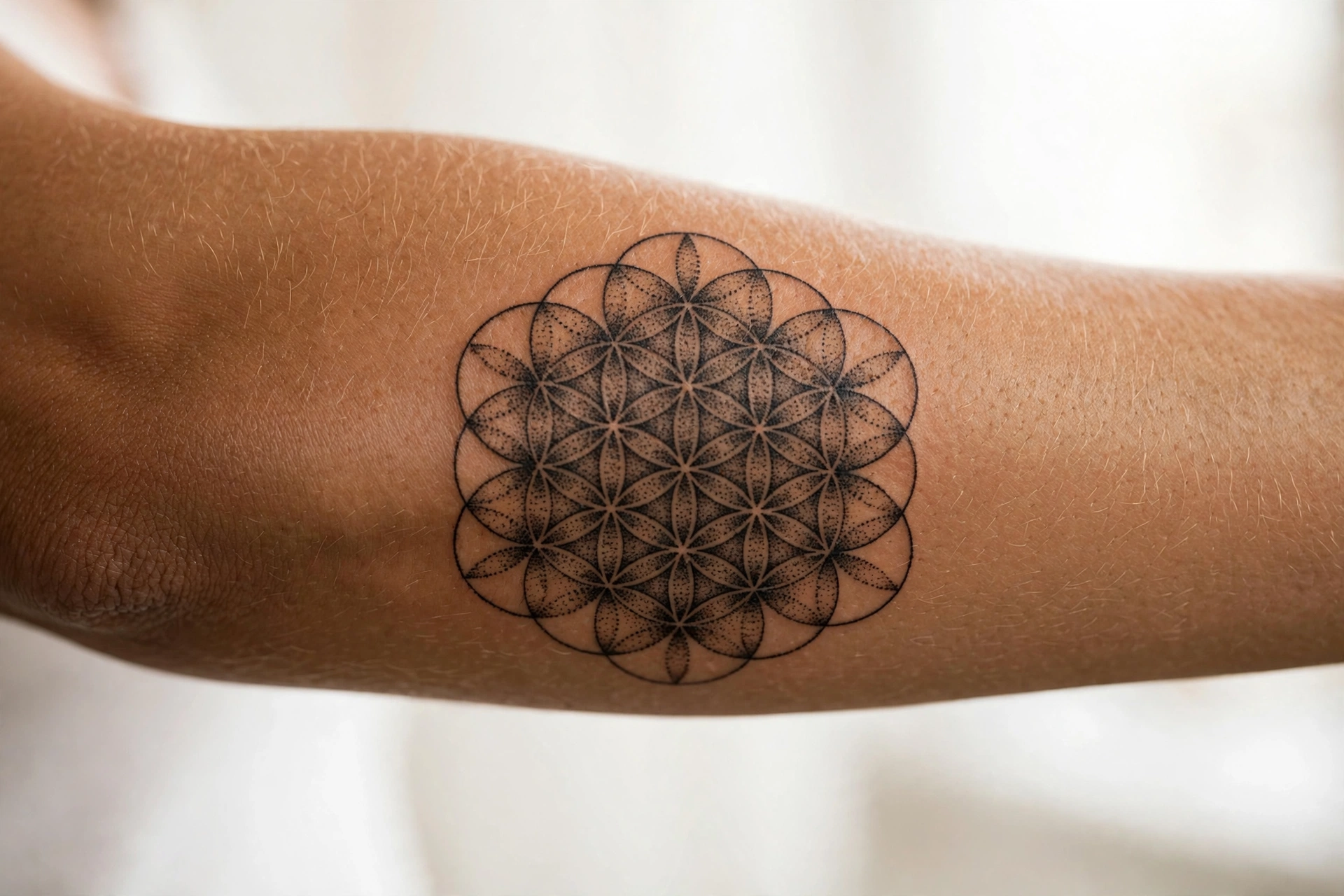 Flower of life sacred geometry symbolic tattoo in dotwork on the sternum